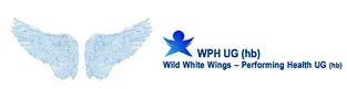 Wordwidewings
