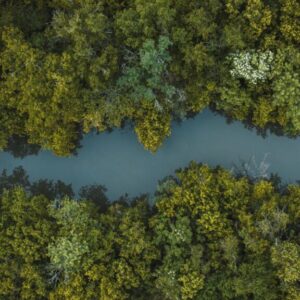 Naturheilkundliche Strategien bei ME/CFS [Digital]